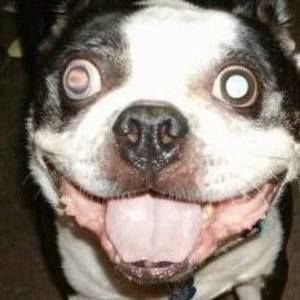 Meet your Posher, Vicki